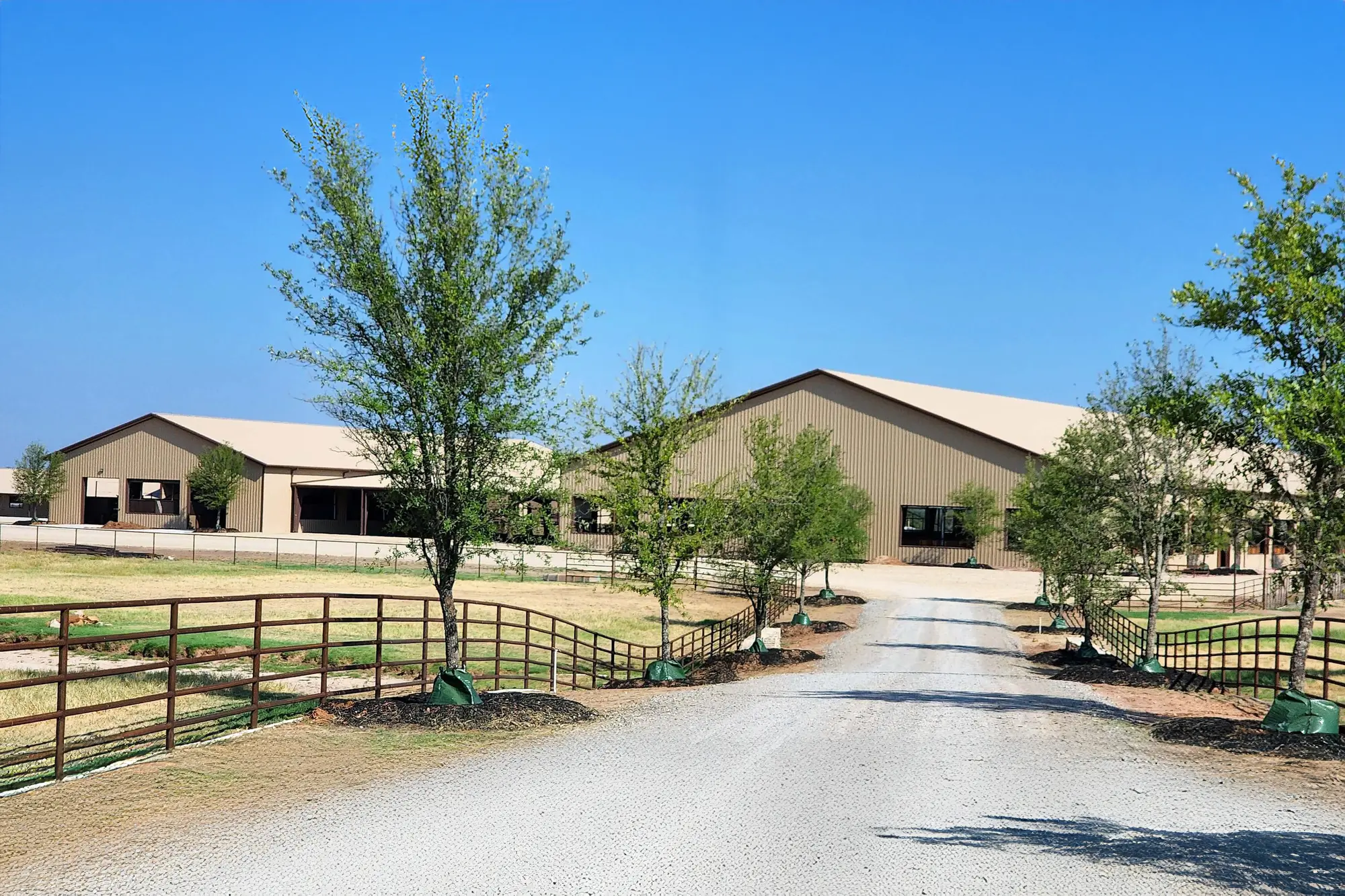 Steel horse arena 2