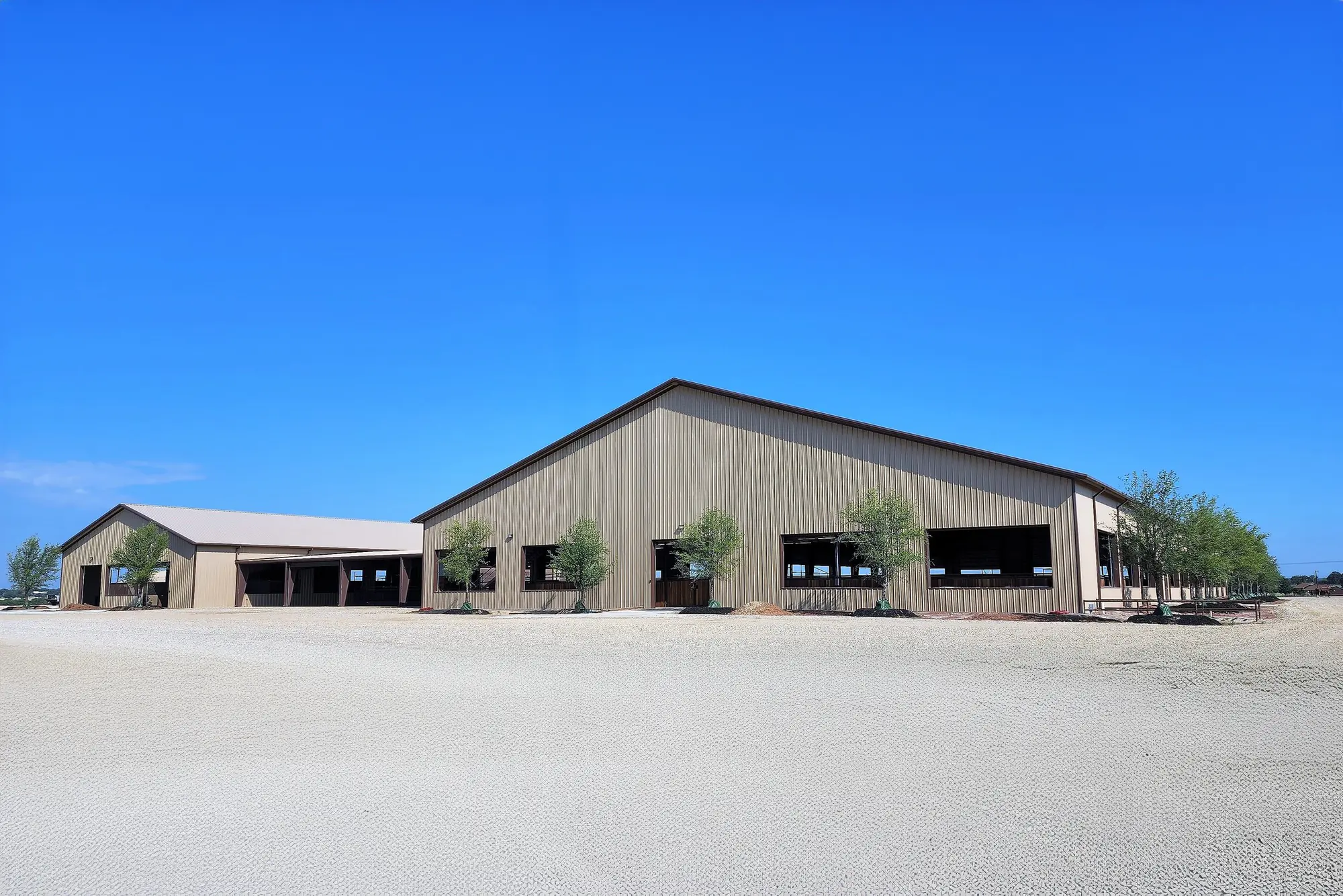 Steel horse arena 3
