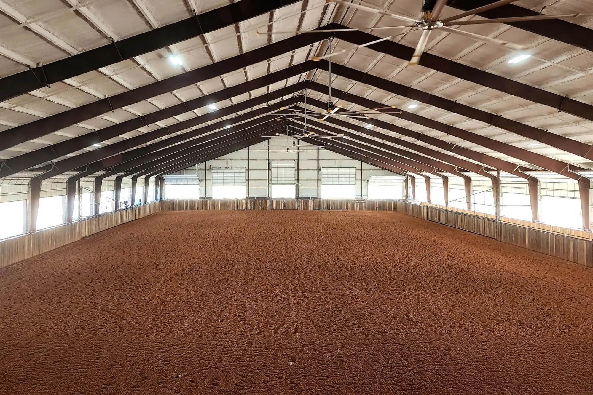 Steel horse arena 7